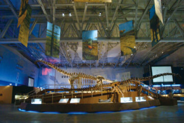 アジア発・世界最新恐竜大陸